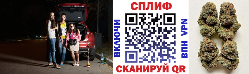 Бошки Шишки семена Качканар